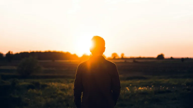 A person walking in a field with a sunset in front of them.