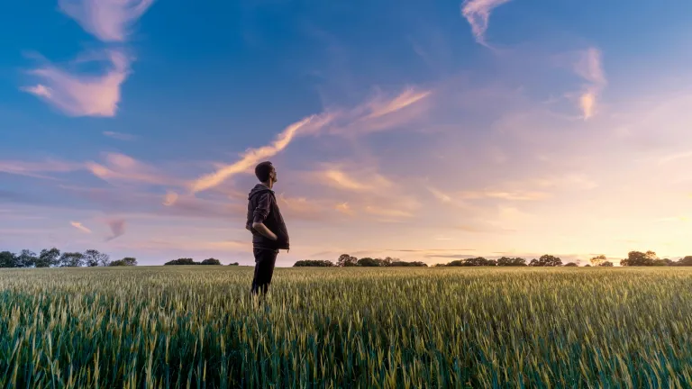 A man standing in a wheat field looking at sunset.